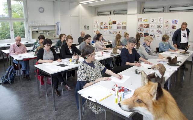 NMBE Naturhistorisches Museum Bern Weiterbildung Lehrpersonen Invasive Arten