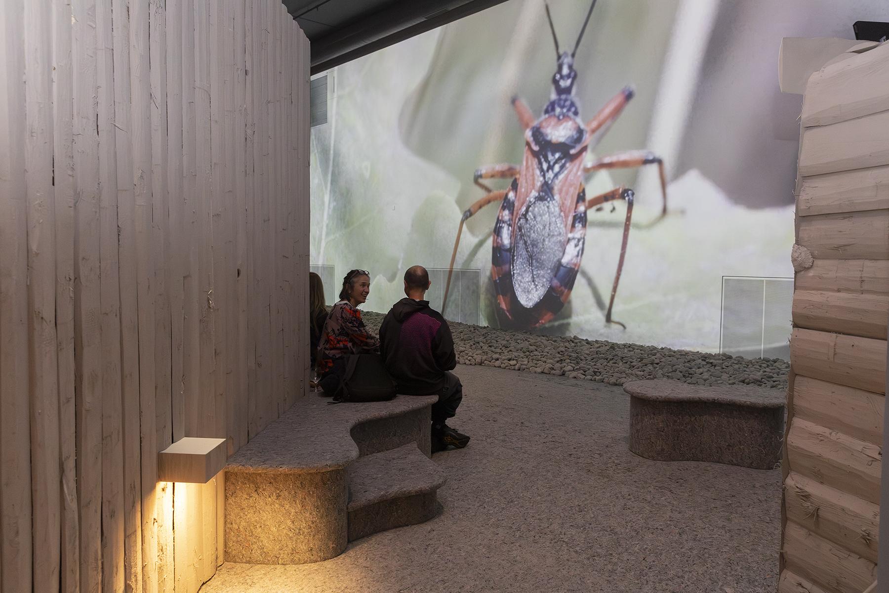 Ausstellungsansicht Insektensterben