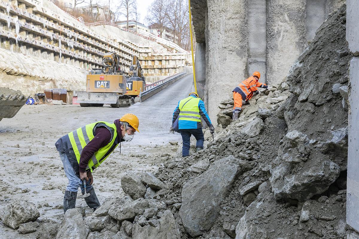 Auf der Suche nach Fossilien